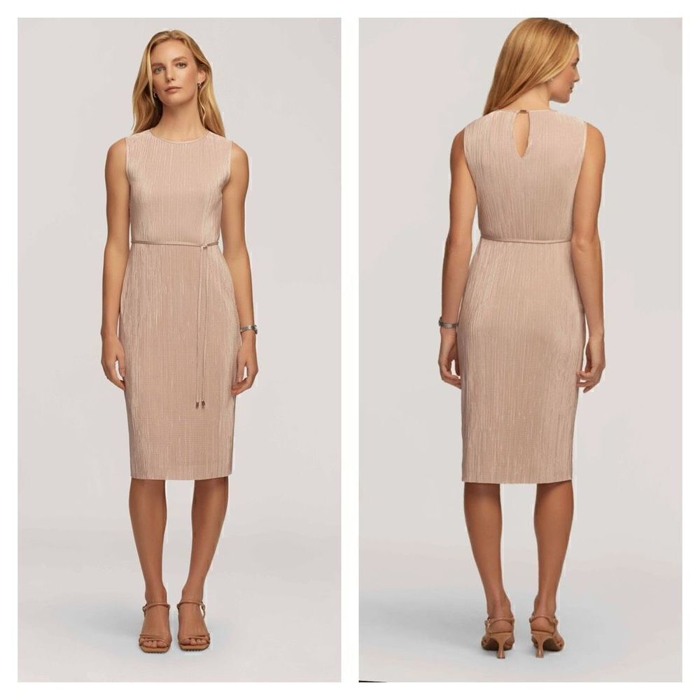 ANNE KLEIN NWT BALLET Pleated Dress With Tie Waist SZ 4